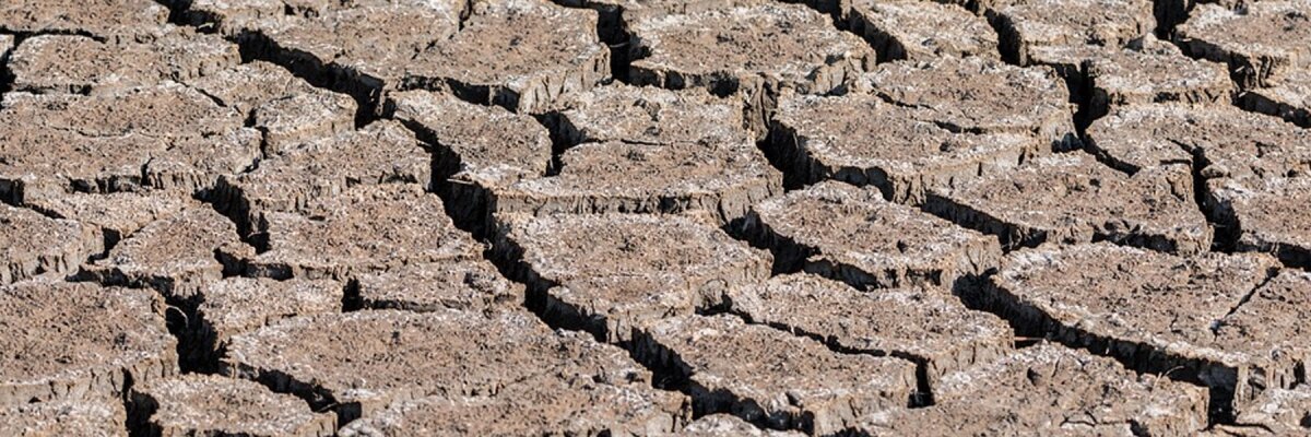 Hitzewelle in Deutschland: Warum unser Wassertank jetzt wichtiger denn je ist - 