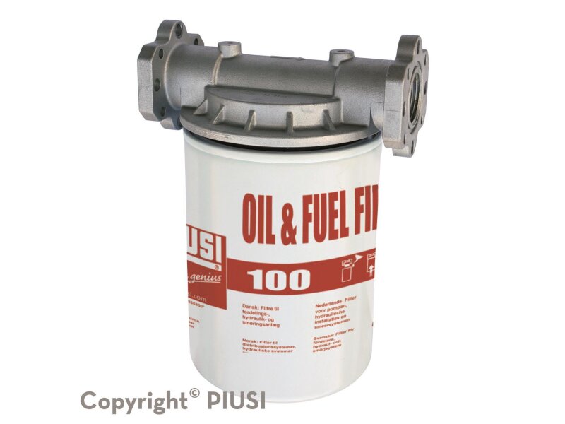 Dieselpumpe Kraftstofffilter CF100 mit Kopf – 100 l/min, 5 µm für Diesel & Biodiesel
